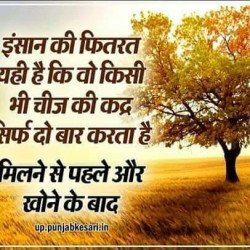 All in one is here WhatsApp Group