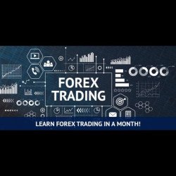 💰Learn Forex📈📉 Class 4 WhatsApp Group