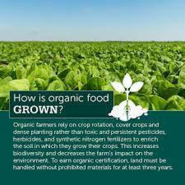 Way 2 OrganiC WhatsApp Group