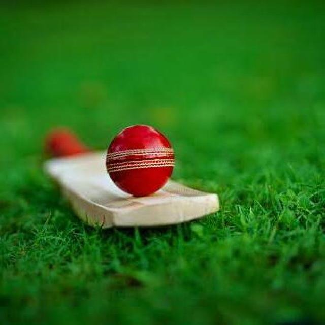 Dream11 Unlimited Winning WhatsApp Group