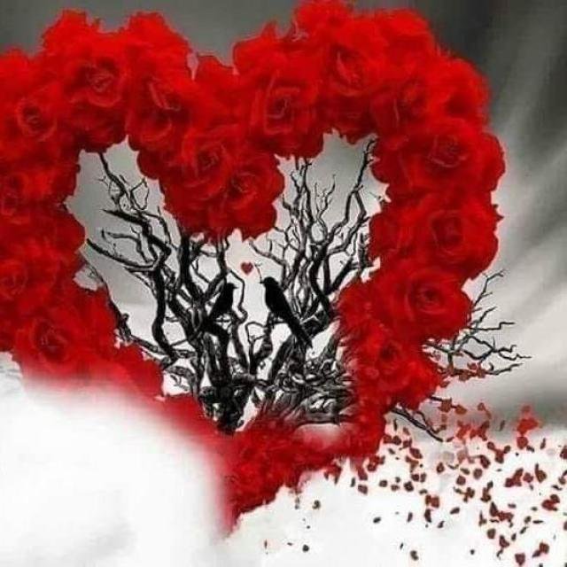 My Way 💞 WhatsApp Group