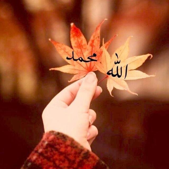 Journey to Jannah 🌸✨ WhatsApp Group