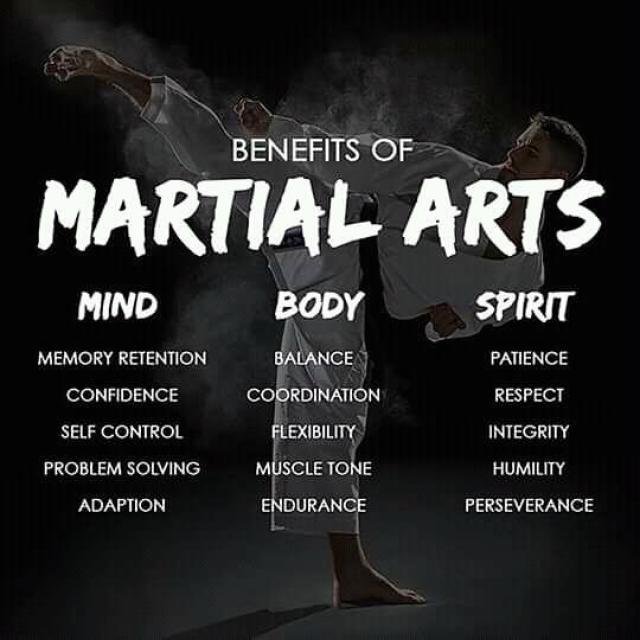 TAEKWONDO 🥋🥋🎗️🥇 WhatsApp Group