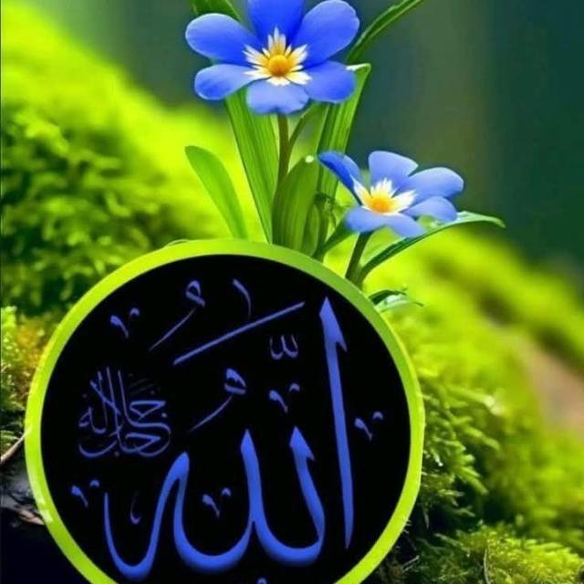 💫① گُلدستہ حدیث مبارکہ💫 WhatsApp Group