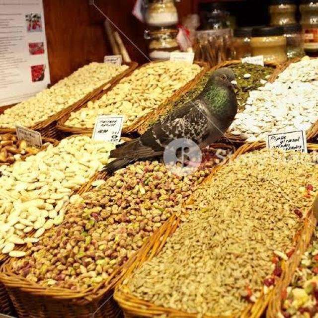 Samyukta Grocery WhatsApp Group